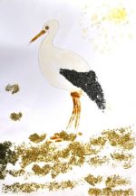 Karlíková Nikola.jpg